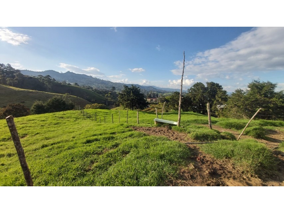 Land in Pontezuela for Sale - 2