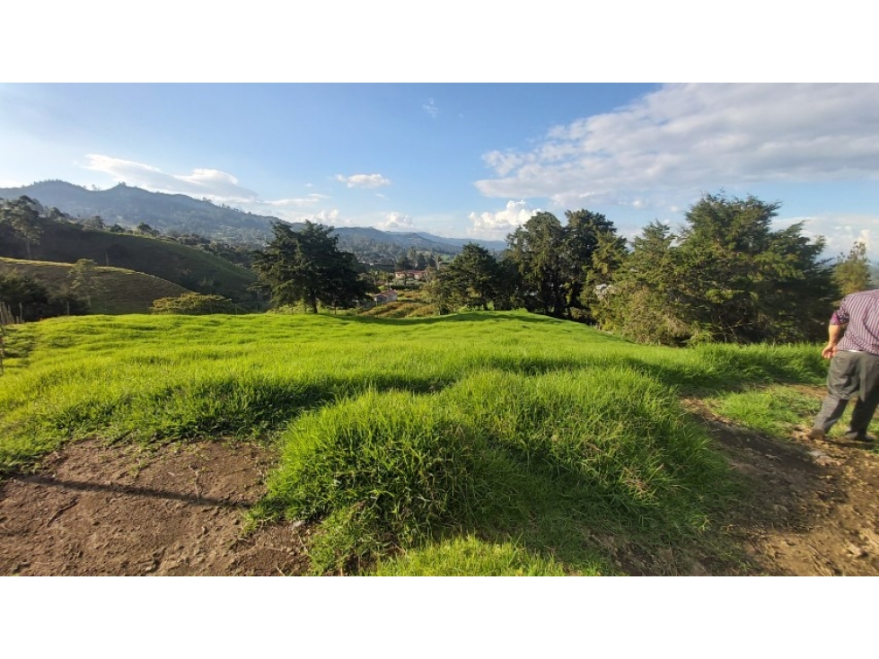 Land in Pontezuela for Sale - 3