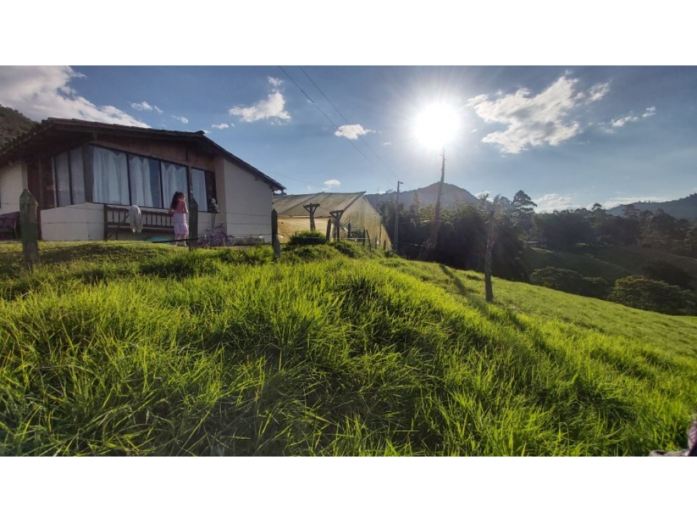 Land in Pontezuela for Sale - 4