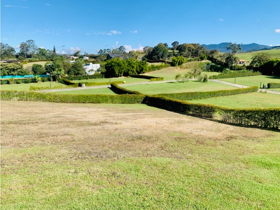 Office in Llano Grande (2643 m²) for Sale - 2