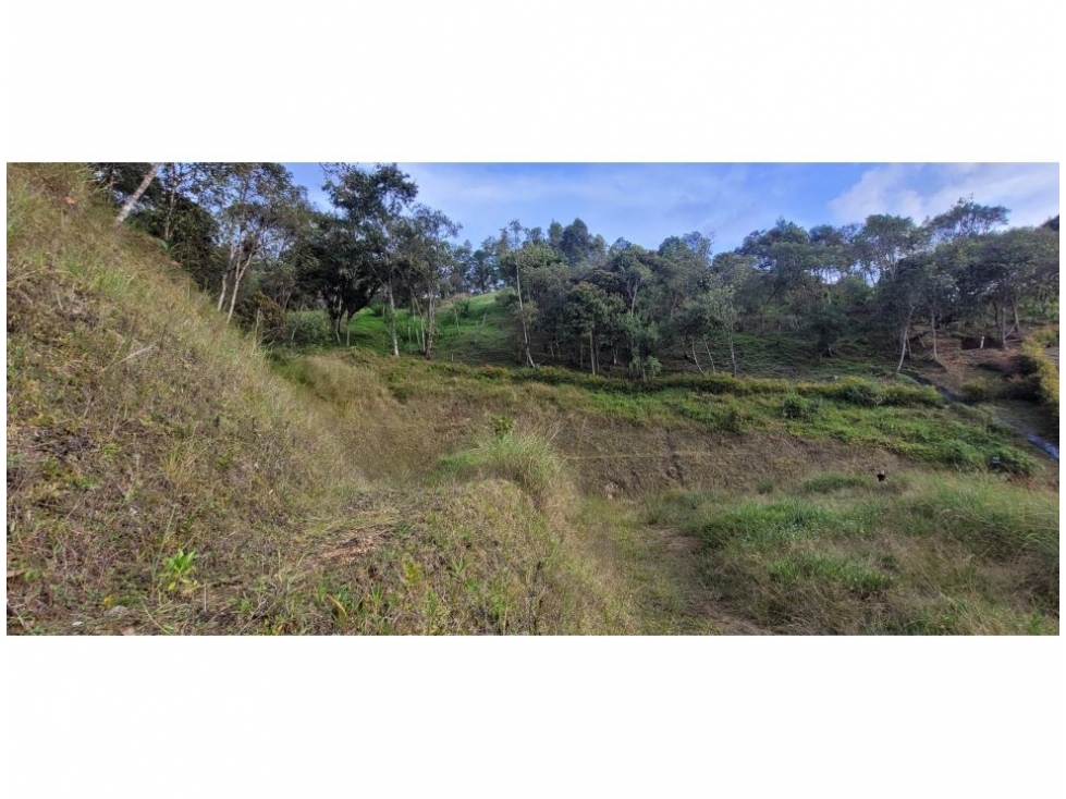 Office in Don diego for Sale - 4