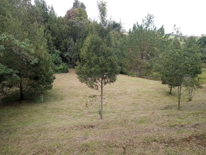 Lote en venta en Pantanillo, Envigado, 8212 m² · foto 2 de 4