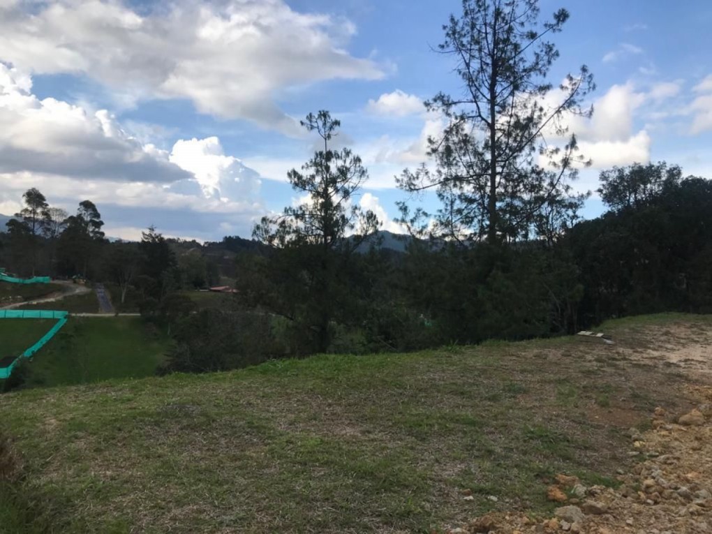 Land in El Portento (2435 m²) for Sale - 4