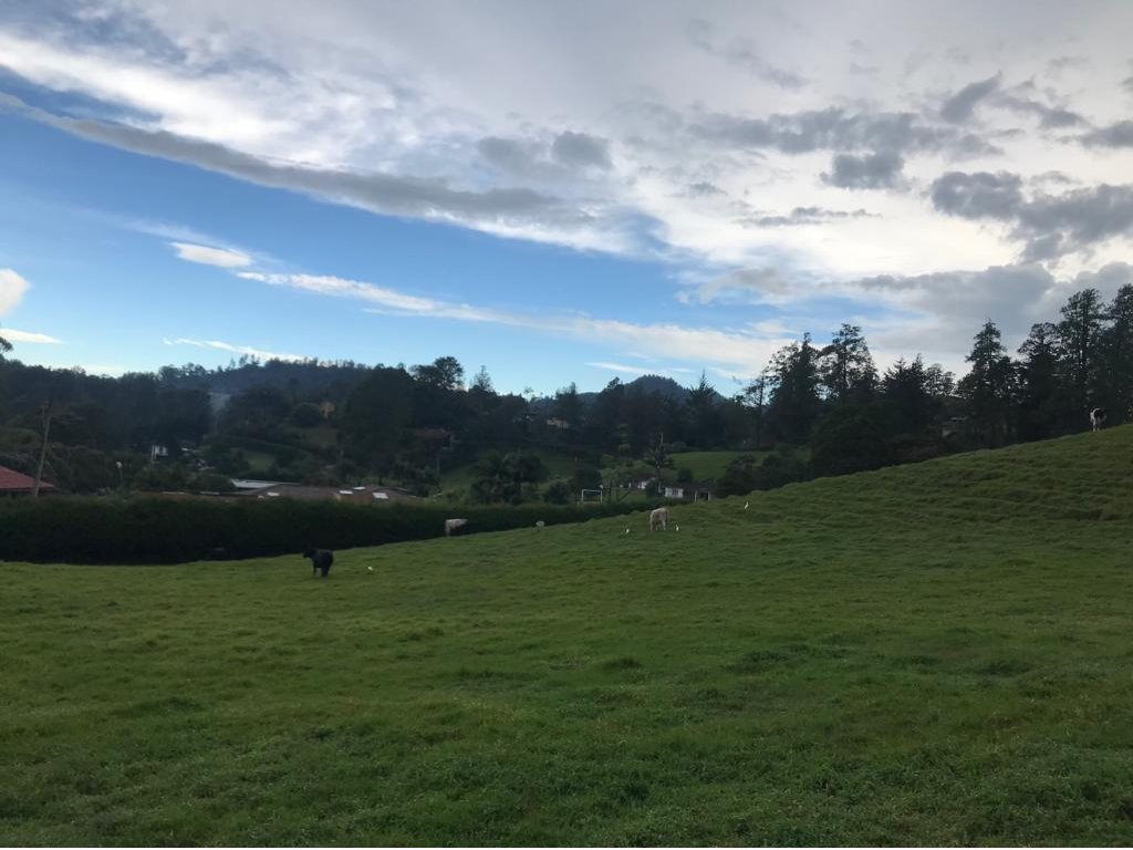 Land in Los salados for Sale