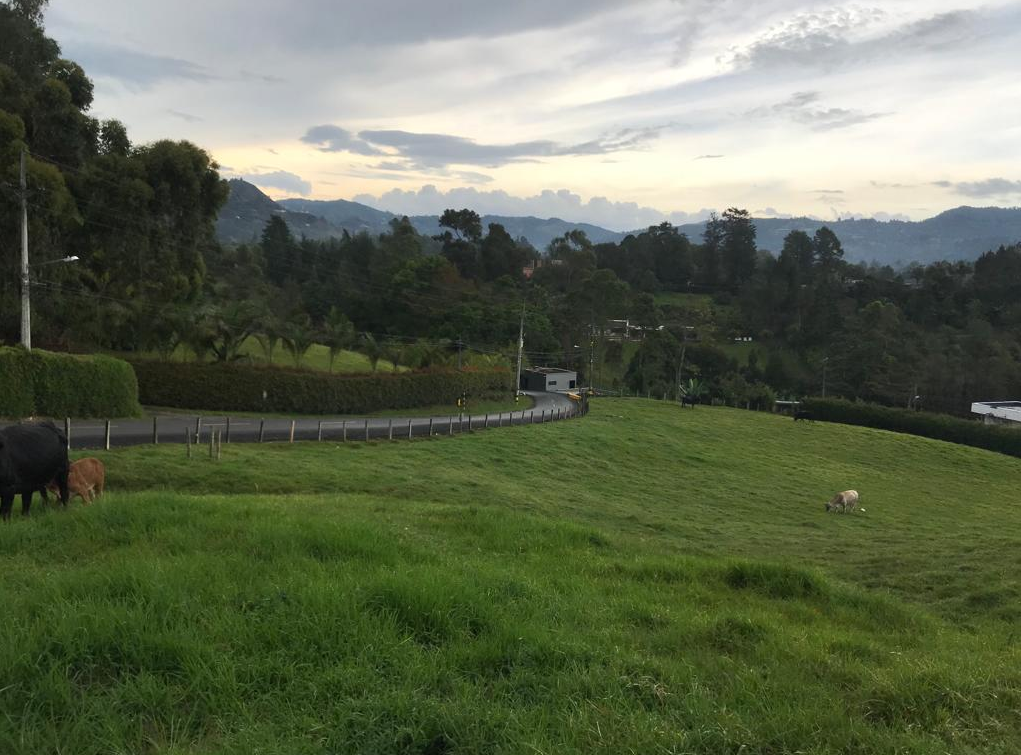 Land in Los salados for Sale - 2