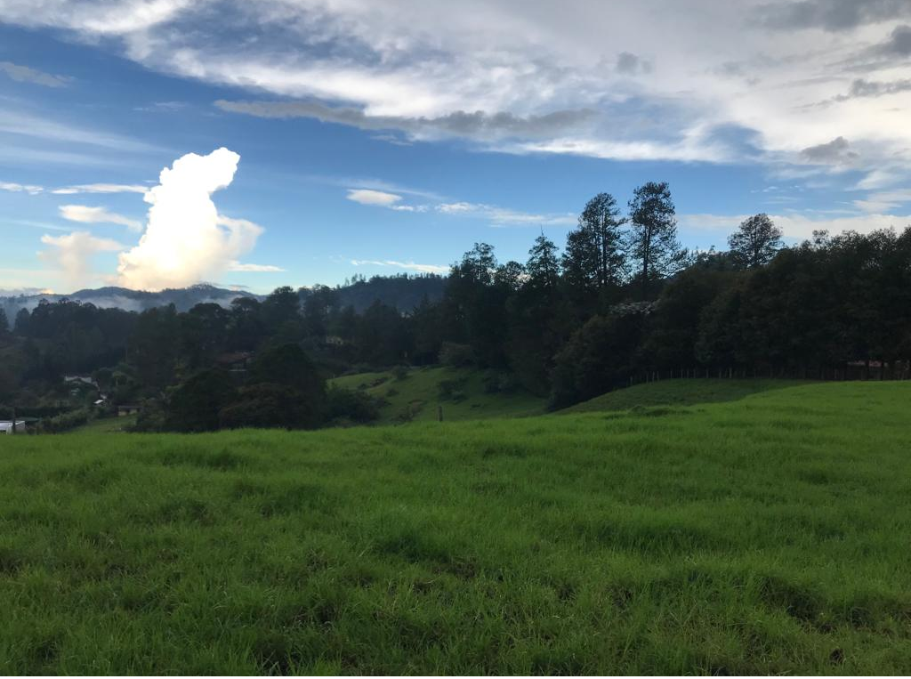 Land in Los salados for Sale - 3