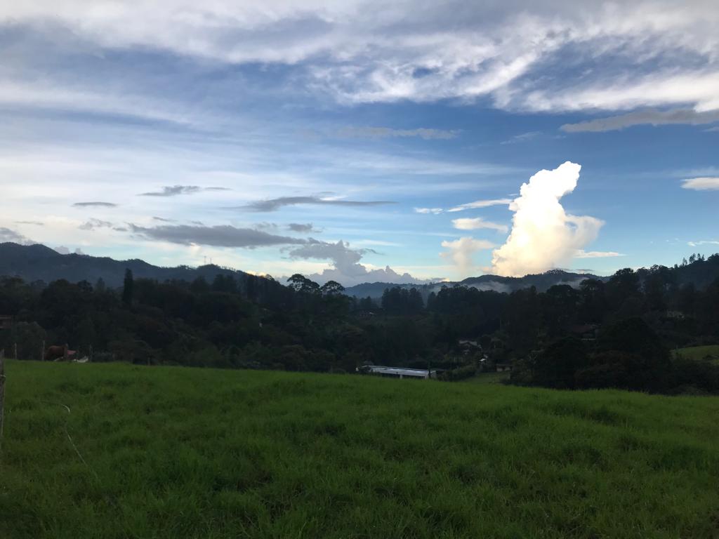 Land in Los salados for Sale - 4
