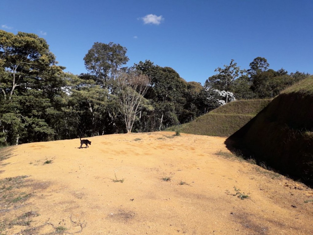 Land in Cabeceras de llanogrande for Sale