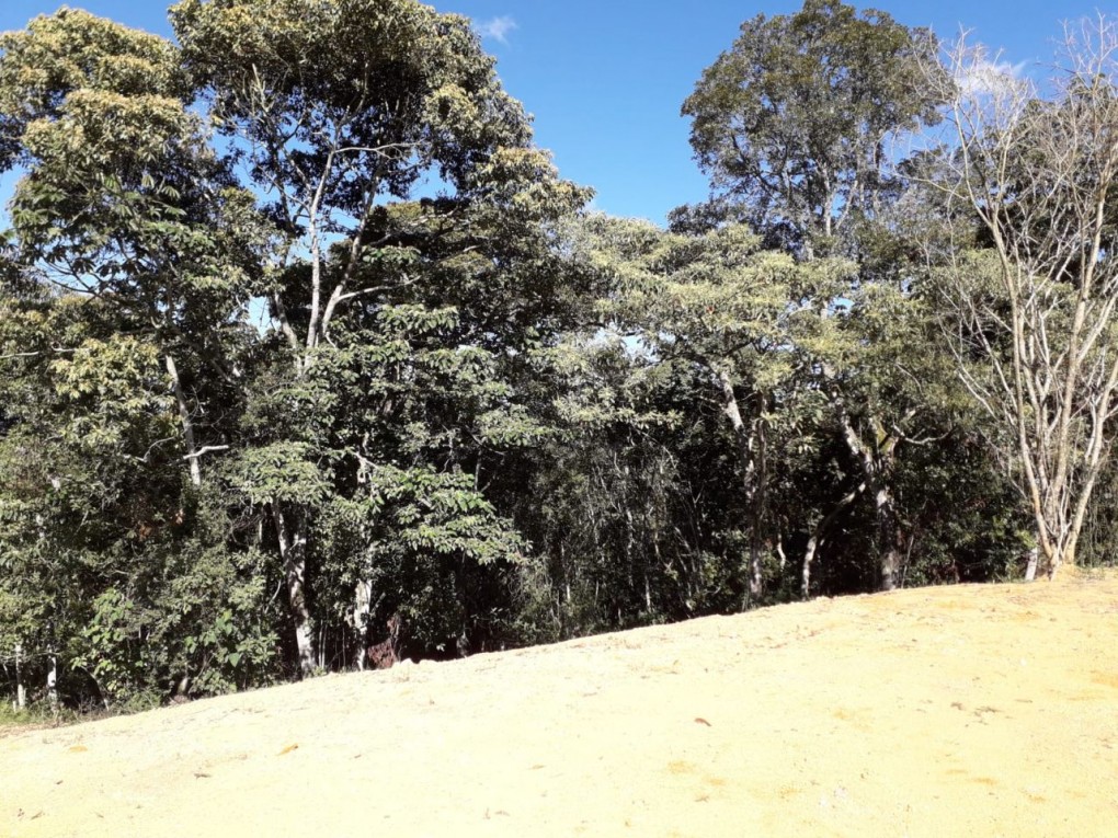 Land in Cabeceras de llanogrande for Sale - 2