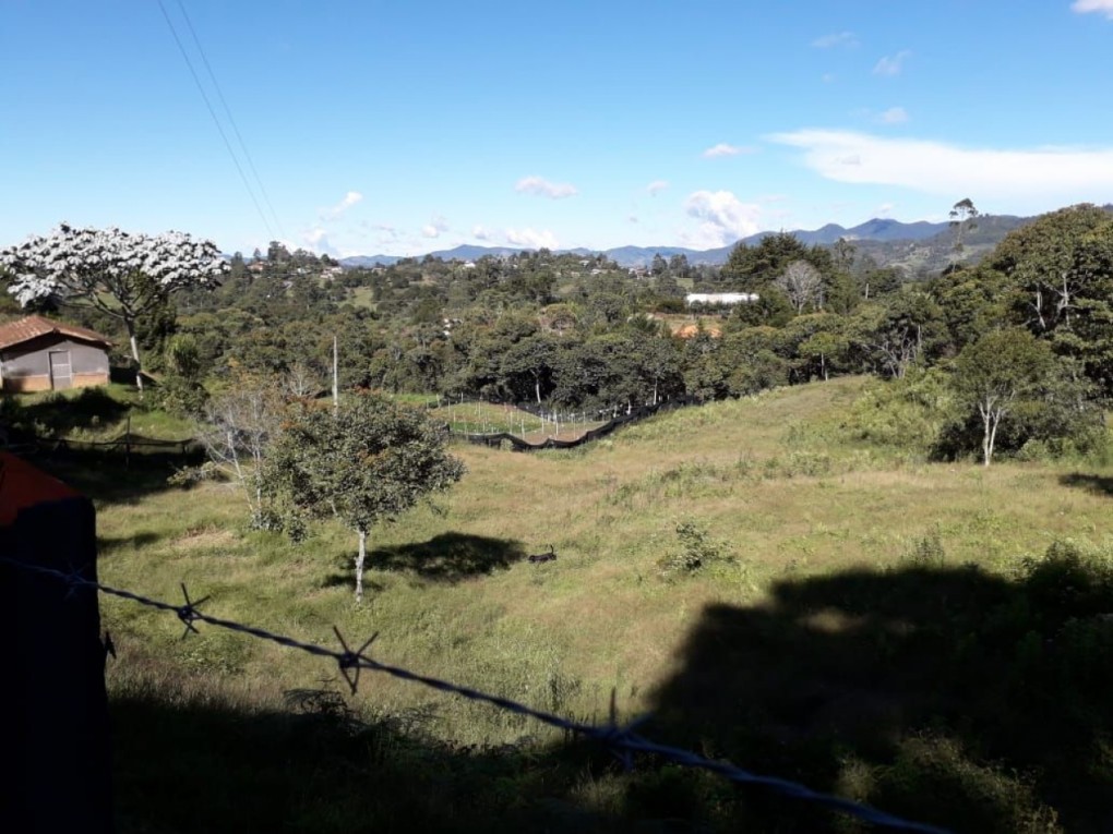 Land in Cabeceras de llanogrande for Sale - 3