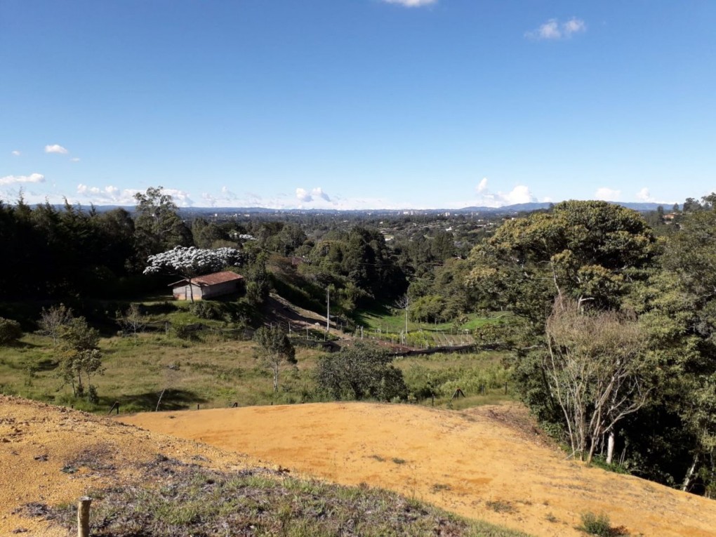 Land in Cabeceras de llanogrande for Sale - 4