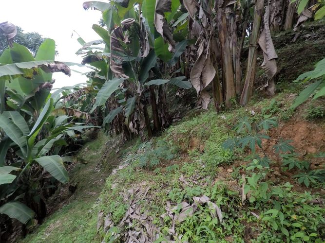 Finca en venta en Morrorico, Bucaramanga, 10000 m² · foto 4 de 9