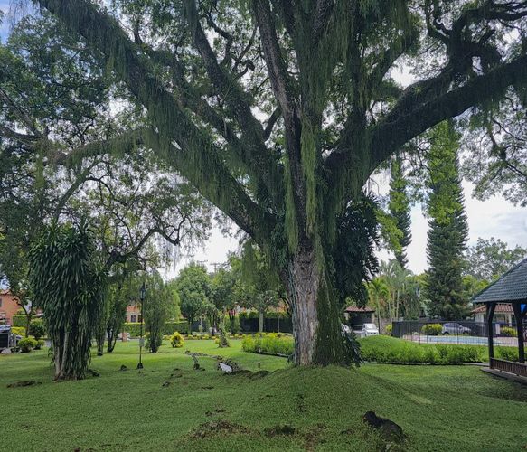 Casa de 3 alcobas en venta en Las Mercedes, Jamundí, 228 m² · foto 18 de 24