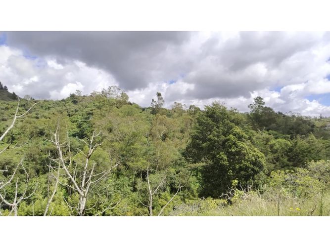 Apartaestudio en venta en Pantanillo, El Retiro · foto 9 de 11