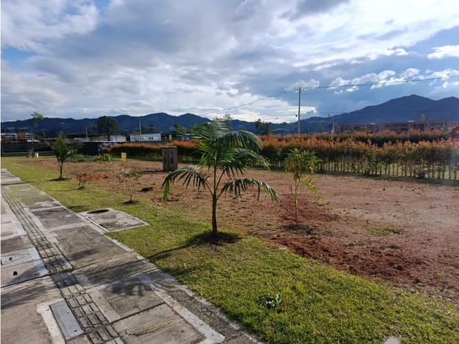 Lote en venta en El Tambo, La Ceja, 174 m² · foto 6 de 6