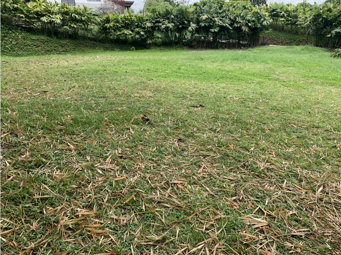 Lote en venta en Rio Bamba, Armenia, 1790 m² · foto 5 de 6