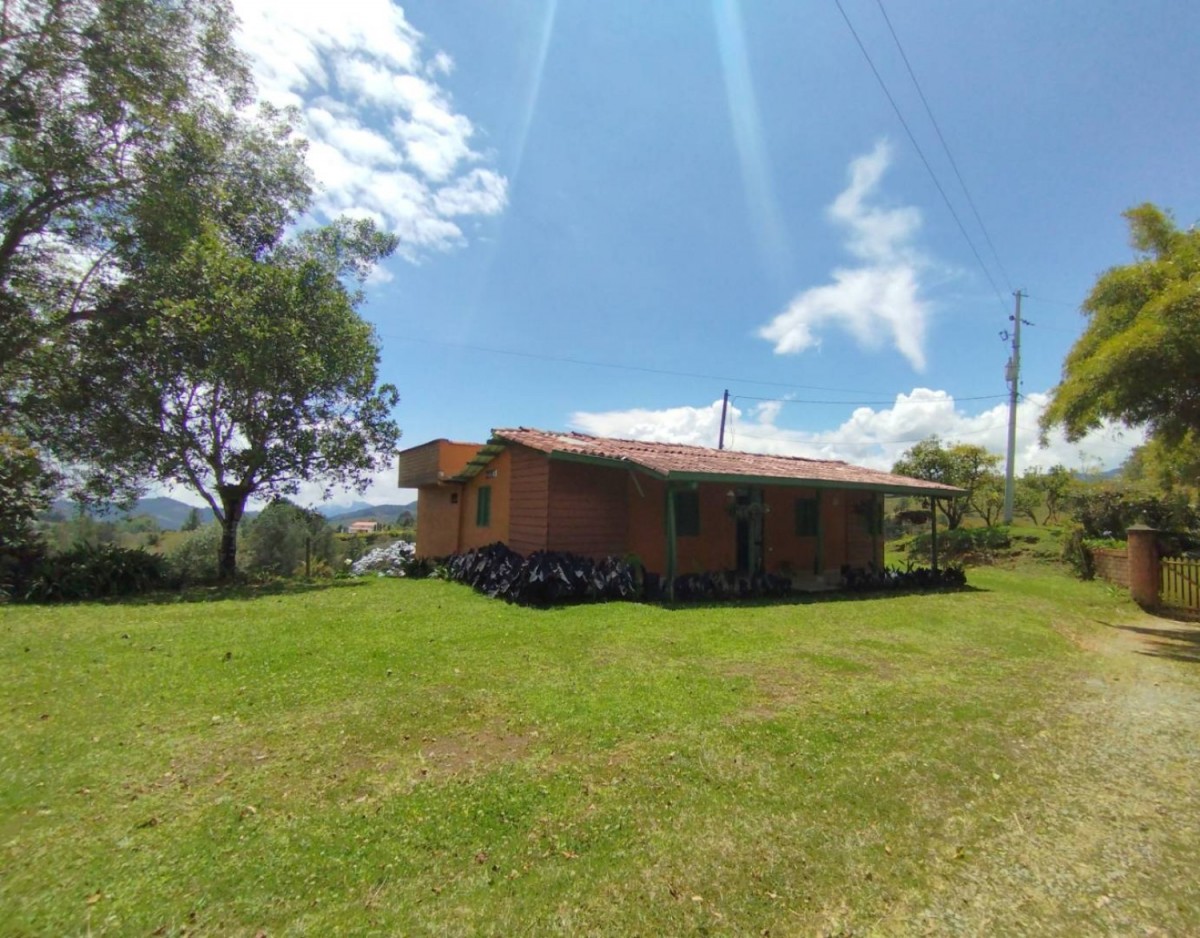 Land in El Portento for Sale