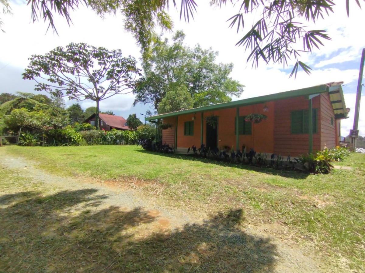 Land in El Portento for Sale - 2