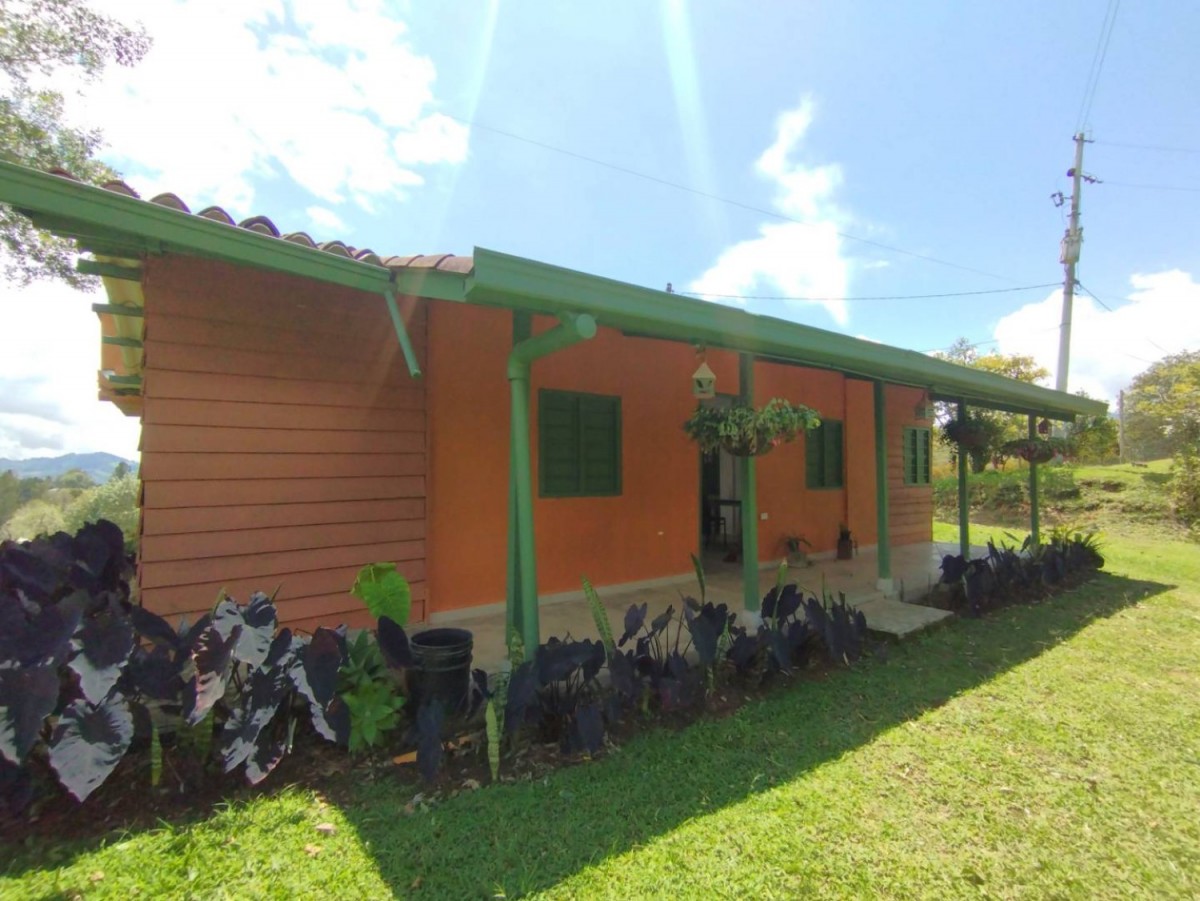 Land in El Portento for Sale - 3