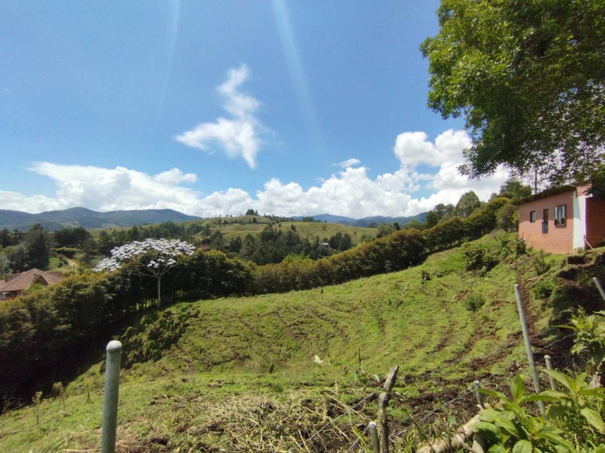 Land in El Portento for Sale - 4