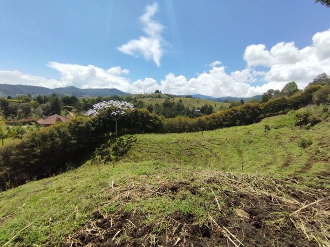 Lote en venta en El Portento, El Retiro, 5007 m² · foto 5 de 24