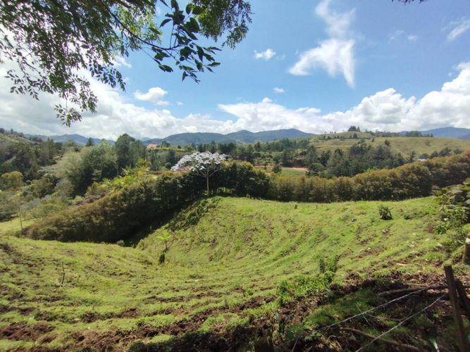Lote en venta en El Portento, El Retiro, 5007 m² · foto 22 de 24