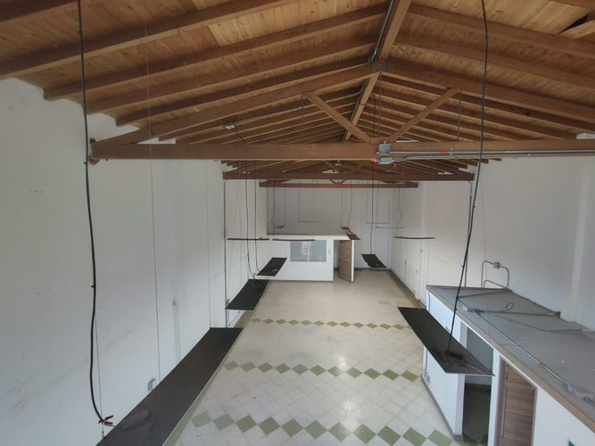 Local en arriendo en Zona Centro, Envigado, 350 m² · foto 6 de 15