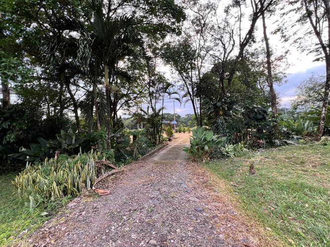 Casa de 4 alcobas en venta en Las Mercedes, Villavicencio, 300 m² · foto 8 de 24