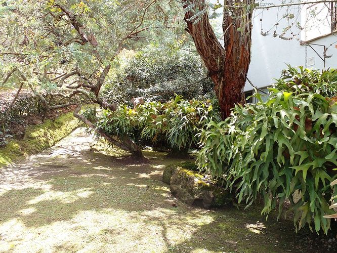Casa de 5 alcobas en venta en Loma Del Chocho, Envigado, 590 m² · foto 18 de 20