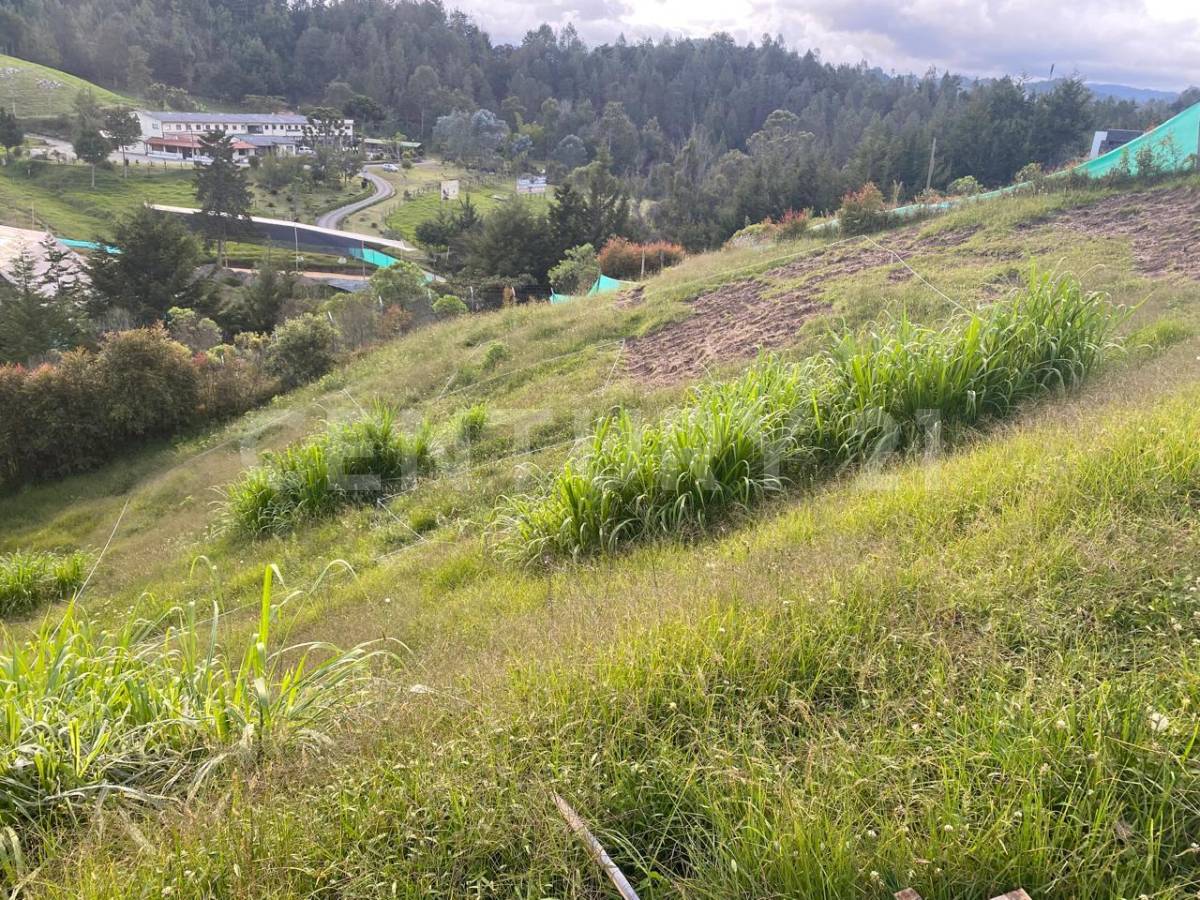 Land in El chuscal (1020 m²) for Sale - 2