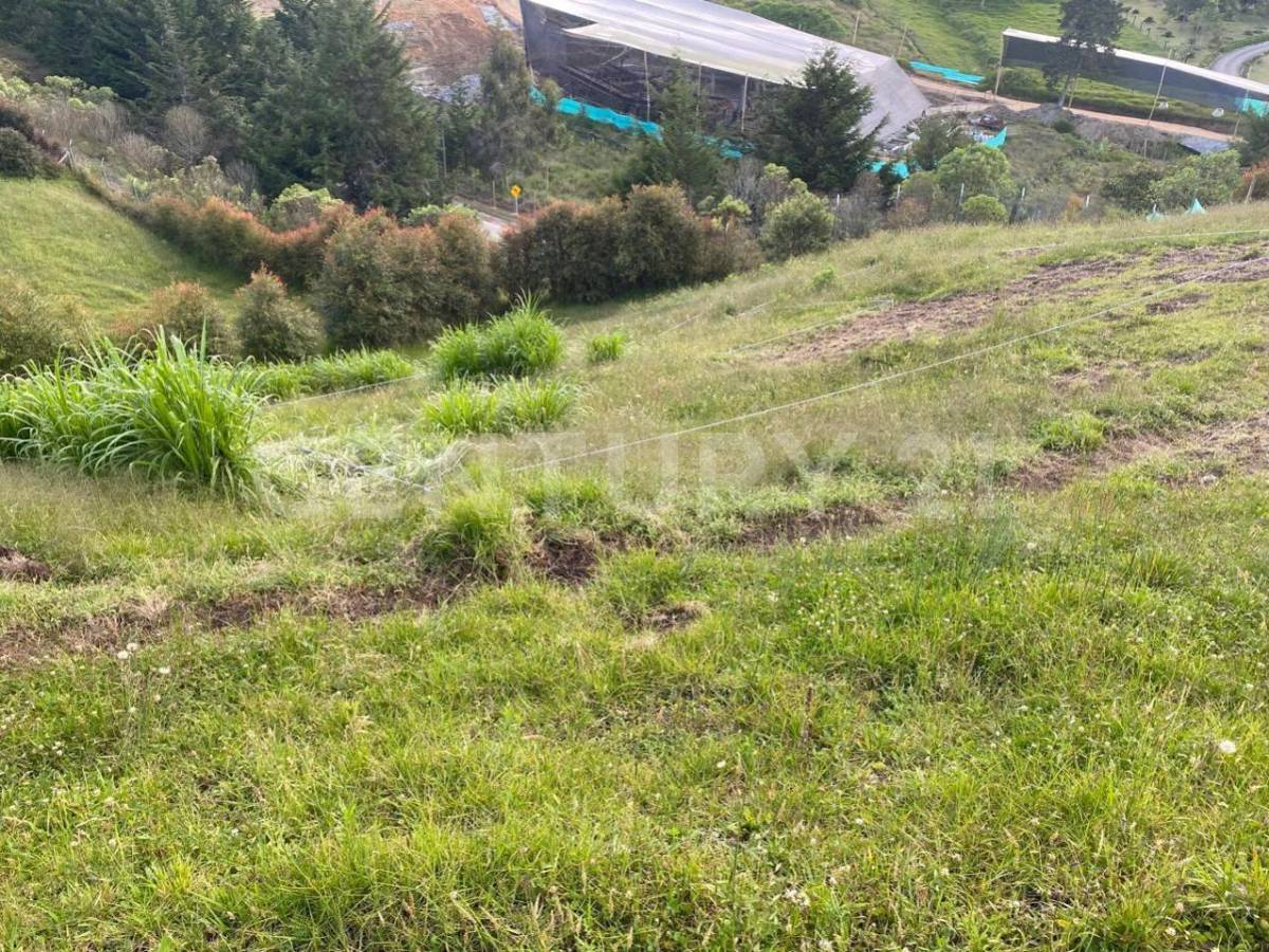 Land in El chuscal (1020 m²) for Sale - 3