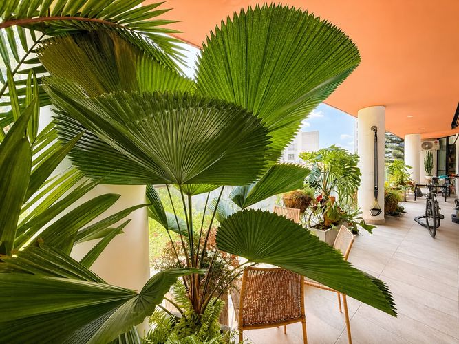 Apartamento de 3 alcobas en venta en Bretaña, Cali, 221 m² · foto 4 de 19