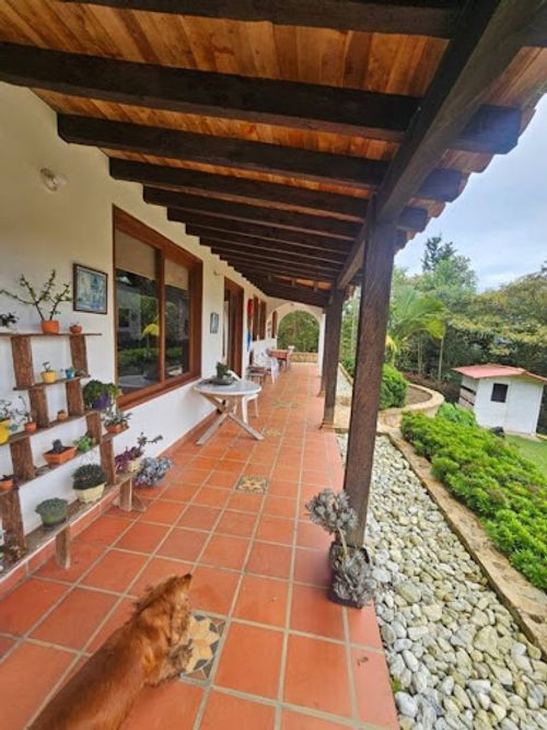 Finca en arriendo en El Zango, Guarne, 280 m² · foto 3 de 24