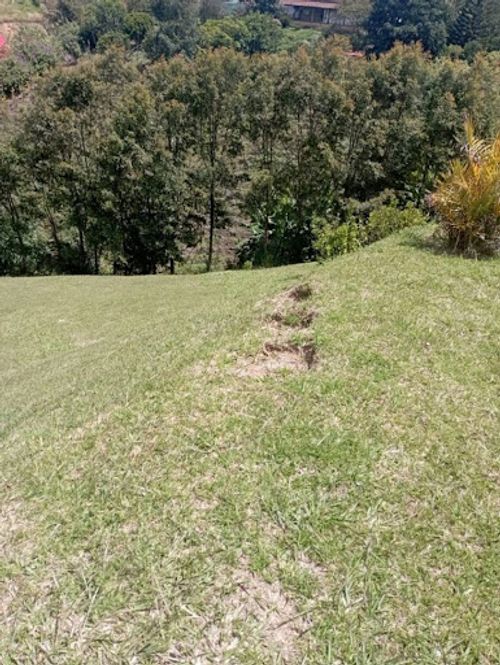 Finca en arriendo en Las Mercedes, Marinilla, 150 m² · foto 9 de 16