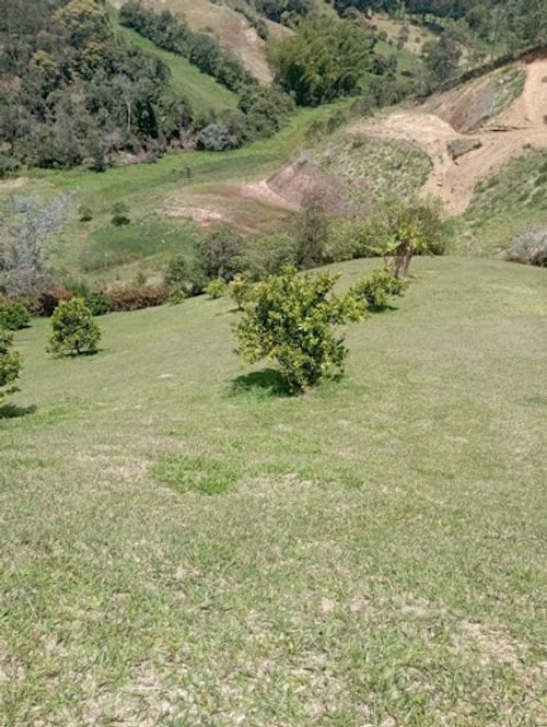 Finca en arriendo en Las Mercedes, Marinilla, 150 m² · foto 11 de 16