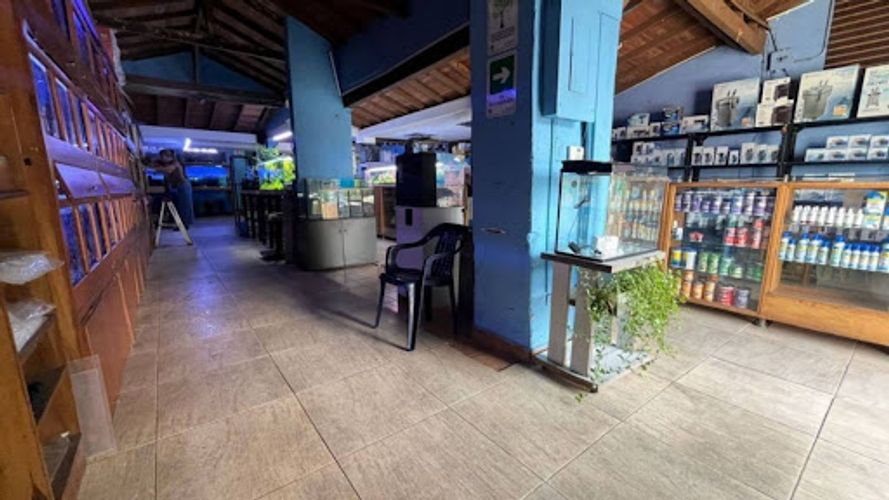 Local en arriendo en Shellmar, Medellín, 500 m² · foto 3 de 24