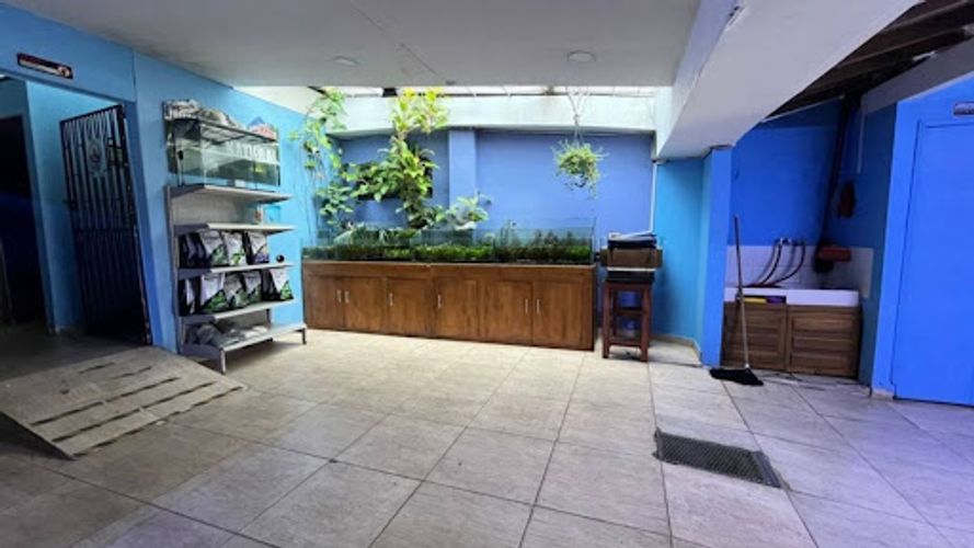 Local en arriendo en Shellmar, Medellín, 500 m² · foto 8 de 24