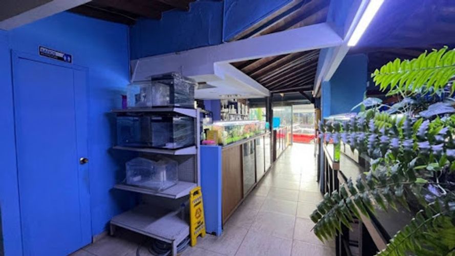 Local en arriendo en Shellmar, Medellín, 500 m² · foto 10 de 24