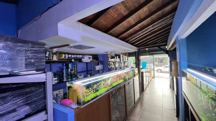 Local en arriendo en Shellmar, Medellín, 500 m² · foto 11 de 24