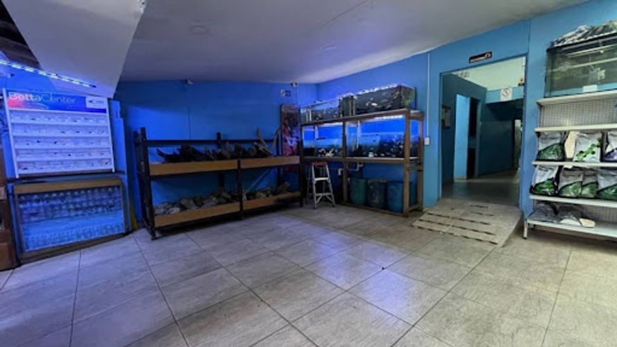 Local en arriendo en Shellmar, Medellín, 500 m² · foto 13 de 24