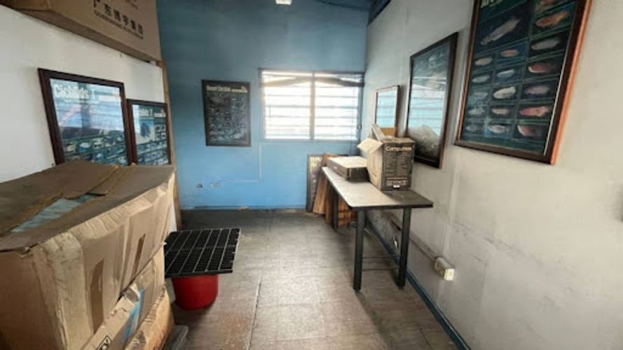 Local en arriendo en Shellmar, Medellín, 500 m² · foto 15 de 24