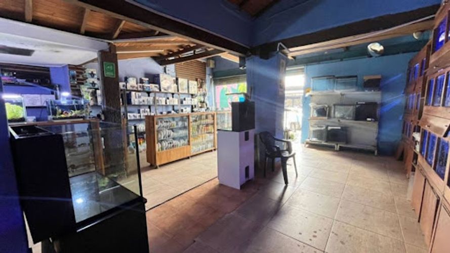 Local en arriendo en Shellmar, Medellín, 500 m² · foto 16 de 24