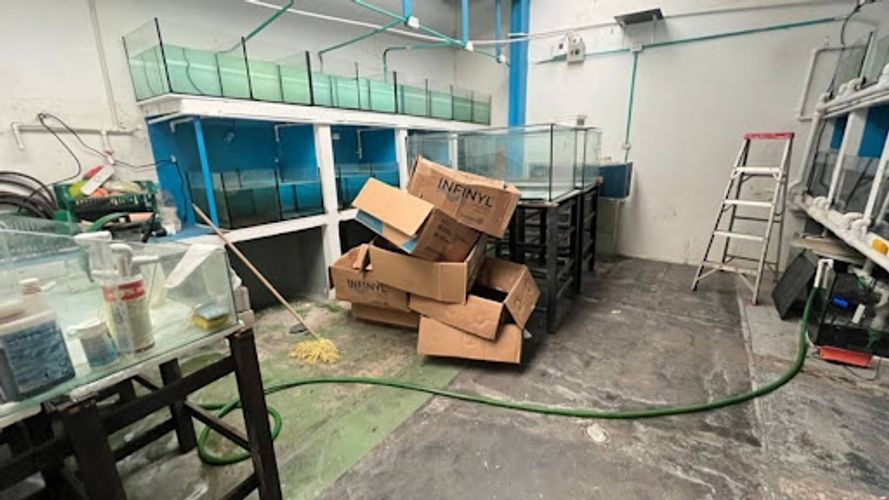 Local en arriendo en Shellmar, Medellín, 500 m² · foto 21 de 24