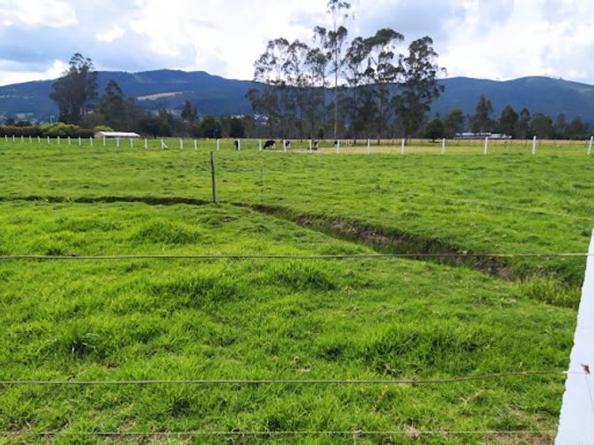 Lote en venta en Gratamira, Sopó, 68200 m² · foto 16 de 23