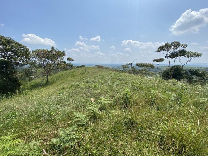 Lote en venta en Pance, Cali, 9000 m² · foto 2 de 7