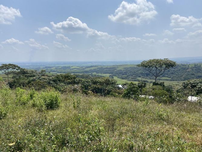 Lote en venta en Pance, Cali, 9000 m² · foto 5 de 7