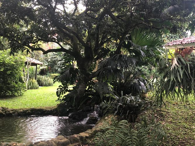 Lote en venta en Pance, Cali, 6971 m² · foto 3 de 19