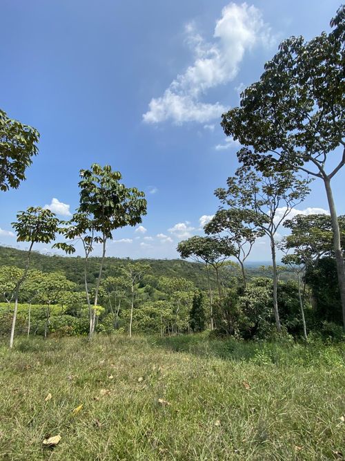 Lote en venta en Pance, Cali, 9000 m² · foto 6 de 7