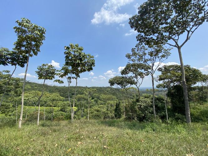 Lote en venta en Pance, Cali, 9000 m² · foto 7 de 7