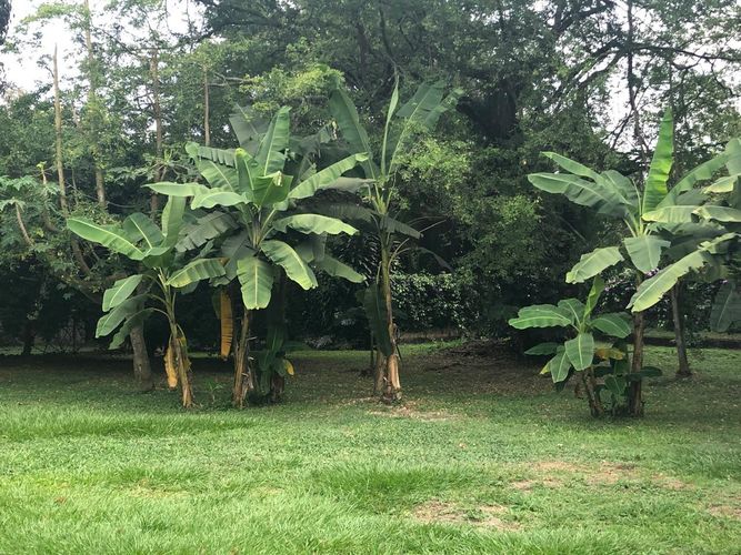 Lote en venta en Pance, Cali, 6971 m² · foto 6 de 19